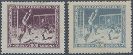 Ungarn: 1925. Special Lot Containing The SPORTS Series In Diverse Aspects: Cards And Covers Showing - Covers & Documents