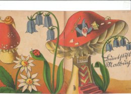 M#0V71 Albo Illustrato Da Colorare MAL-BUCH Ed.Schafer-Grohe Anni '40/FUNGHI/GNOMI - Antichi