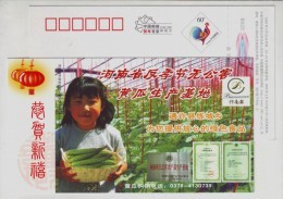 Vegetable Cucumber,CN 05 Henan Off-season Vegetable & Pollution-free Vegetable Planting Base Advert Pre-stamped Card - Groenten
