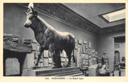 A-19-4373 : ARCHEOLOGIE. LE BOEUF APIS. ALEXANDRIE. - Museos