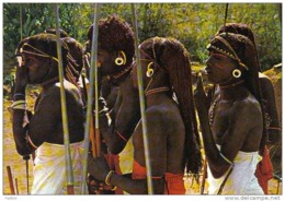 Carte Postale Afrique  Kenya  Masai Warriors Trés Beau Plan - Kenya