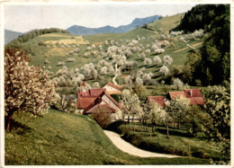 Im Baselbiet Bei Waldenburg * 1959 - Waldenburg