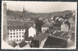 Photo Carte  Dison  Panorama - Dison