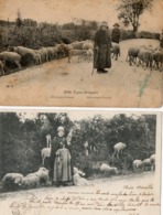 23. 2 CPA. BERGERE CREUSOISE.  Types Creusois, Moutons, Quenouille.  1902.1923. - Pontarion