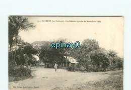 GUYANE - CAYENNE -  VENTE à PRIX FIXE - La Colonie Agricole De Montjoly En 1903 - Cayenne