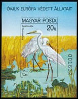 ** 1980 Madarak - Védett Vízimadarak Vágott Blokk (6.000) - Sonstige & Ohne Zuordnung