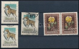 ** O 1950 Virág 60f Pár Látványos Papírránccal + 1956 Kutya 1Ft 'tarajos Réce' Postatiszta + Bélyegzett + Támpéldány - Sonstige & Ohne Zuordnung