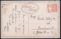 1917 Képeslap 'ZÁNKA' Postai ügynökség Bélyegzéssel - Sonstige & Ohne Zuordnung