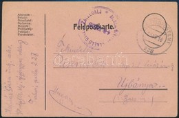 1916 Tábori Posta Levelezőlap 'M.kir. 4/V NÉPFÖLKELŐ ZÁSZLÓALJ 4-IK SZÁZAD' + 'FP 228' - Altri & Non Classificati