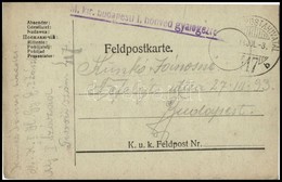 1918 Tábori Posta Levelezőlap 'M.kir. Budapesti  I. Honvéd Gyalogezred' + 'TP 417 B' - Otros & Sin Clasificación