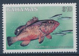 ** 1986 Hal Záróérték,
Fish Closing Value
Mi 633 XI - Other & Unclassified