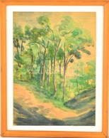 Ács József (1914-1990): Liget. Akvarell, Papír, Jelzett, Keretben, 32×23 Cm - Other & Unclassified