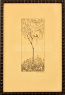 Ernst Peche (1885-1945): Madárének. Hidegtű, Papír, Jelzett, üvegezett Keretben, 16×7,5 Cm - Sonstige & Ohne Zuordnung