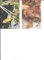 AFRIQUE DU SUD  OISEAUX WWF - Used Stamps