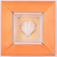 Kis Kagyló, üvegezett Fa Keretben, 16,5×16,5 Cm - Autres & Non Classés