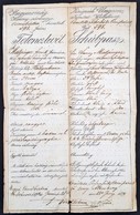 1874 Moson Vármegye Csendbiztosi Hivatalának Tolonclevele Badeni Illetőségű Koldus Részére - Ohne Zuordnung