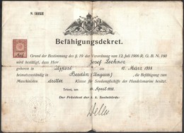 1910 Triest: Hajógépészi Bizonyítvány, Hátoldalán Magyar Honosítással / Ship Enginer Licence 34x25 Cm - Ohne Zuordnung