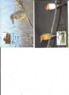 MICRONESIE OISEAUX WWF - Used Stamps