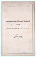 Cca 1890 A Máramarossziget-Kőrösmező-határszéli Vasút átnézeti Hosszélvénye és Helyszínrajza. 320x34 Cm - Unclassified