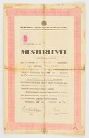 1940 Mesterlevél Jakab Sándorné (Diószegi Márta), Kozmetikus, Kartonra Kasírozva, Hajtásnyomoknál Szétvált, Foltos,  Bud - Other & Unclassified