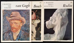 3 Db Művészeti Képes Lapozó: Rodin, Van Gogh, Hyeronimus Bosch, Olasz Nyelvű Bevezetővel. Kiadói Papírkötés, Jó állapotb - Non Classificati