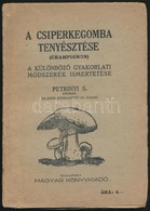 A Csiperkegomba Tenyésztése. (Champignon.) A Különböző Gyakorlati Módszerek Ismertetése. Petrinyi S. Nyomán Teljesen átd - Non Classificati