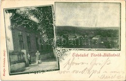 T2/T3 1901 Törökbálint, Utca, Látkép. Kiadja Eckstein Adolf. Floral (EB) - Ohne Zuordnung