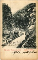 T2/T3 1902 Petrozsény, Petrosani; Szurduk-szoros, Híd / Pasul Surduc / Mountain Pass, Bridge (Rb) - Ohne Zuordnung