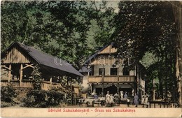 T2/T3 1917 Szászkabánya, Németszászka, Sasca Montana; Malomvölgy, Vendéglő, étterem. Kiadja Koch J. / Inn, Restaurant In - Ohne Zuordnung