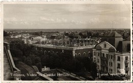 * T2/T3 Temesvár, Timisoara; Vedere Cu Castelul Huniade / Hunyadi Kastély / Castle (EK) - Ohne Zuordnung