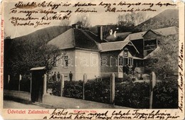 * T4 1914 Zalatna, Zlatna; Mihalovits Villa. Kiadja Nagy Árpád / Villa (lyuk / Hole) - Ohne Zuordnung