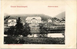 T2/T3 Breznóbánya, Brezno Nad Hronom; Földmíves Iskola. Kiadja Baittrok Dezső. Szigeti 946. / Agricultural Farmer School - Ohne Zuordnung