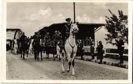 ** T1 1938 Komárom, Komárnó; Vitéz Nagybányai Horthy Miklós Bevonulása Fehér Lovon / Entry Of The Hungarian Troops With  - Ohne Zuordnung