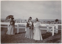 * T2 1908 Pozsony, Pressburg, Bratislava; Lóverseny Tér, Előkelő Hölgyek / Horse Racing Track, Ladies. Photo (non PC) - Ohne Zuordnung