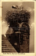 T2/T3 1939 Ruszt, Rust Am Neusiedlersee; Storch-Nest. Foto Karl Allmann / Stork Nest / Gólyafészek (EK) - Non Classificati