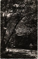 * T2/T3 1952 La Foret Gabonaise / Gabonese Forest (EK) - Ohne Zuordnung