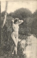 ** T4 Vintage Erotic Nude Lady (non PC) (vágott / Cut) - Ohne Zuordnung