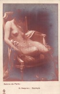 ** T2 G. Seignac - Espiegie / Erotic Nude Lady. Salons De Paris. 1301. - Ohne Zuordnung