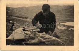 * T2/T3 Eskimo Hunter Skinning A Deer, Folklore (small Tear) - Non Classificati