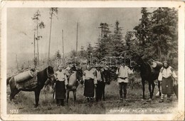 * T2/T3 Odvazení Mléka, Poloniny / Szlovák Folklór, Tejszállítás / Slovak Folklore, Milk Transport And Export (EK) - Non Classificati