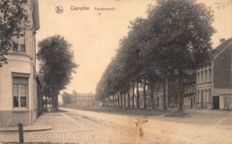 Paardenmarkt - Caprijcke - Kaprijke - Kaprijke