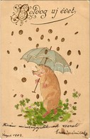 T2 1902 Boldog Újévet! / New Year Greeting, Pig With Umbrella Under Money Rain. Emb. Litho - Non Classés