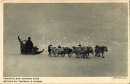 ** T2 Retour Du Traineau A Chasse / Hunter's Sled Returning Home, Dogs - Sin Clasificación