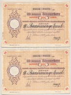 Románia / Satu-Mare (Szatmár) 1922. 'Szatmár Vármegyei Takarépénztár Részvénytársaság' Névre Szóló 10db Részvénye Egyben - Non Classificati