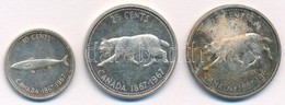 Kanada 1967. 10c Ag + 25c Ag 'Hiúz' (2x) T:2 Patina
Canada 1967. 10 Cents Ag + 25 Cents Ag 'Lynx' (2x) C:XF Patina - Ohne Zuordnung