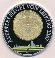 Lipcse DN 'Ältestes Siegel Von Leipzig 1287 / Stadtansichten' Bimetál Emlékérem, Alján Festett (70mm) T:PP, BU
Leipzig N - Non Classificati