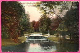 Apeldoorn - Gezicht In Het Koninklijk Park - Oblit. E358 - 1911 - Apeldoorn