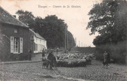 Chemin De St Ghislain - Élouges - Dour