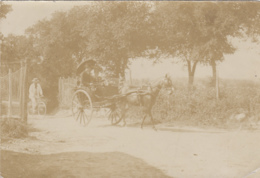 Photographie - Attelage Calèche Cheval - Vélo Bicyclette - Photographie Fin XIXème Siècle - Fotografie