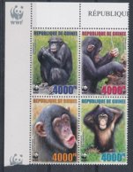 Guinée, Guinea - Chimpanzés, WWF. - Chimpanzés